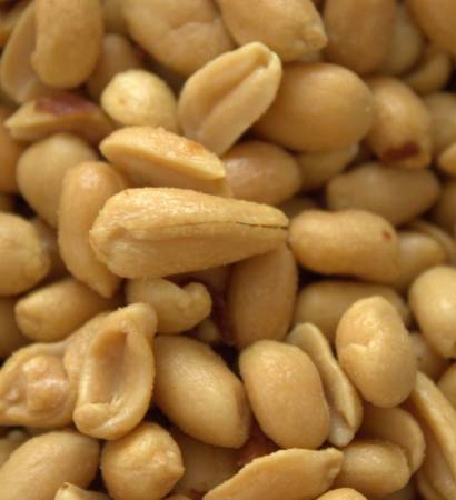 Untitled design (92)